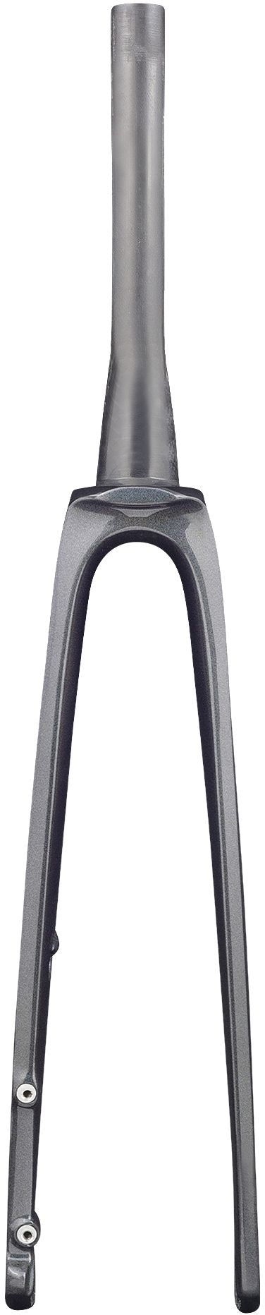 Trek 2021 Madone SLR Fork-Dark Prismatic-230mm-45mm-W5271457Q