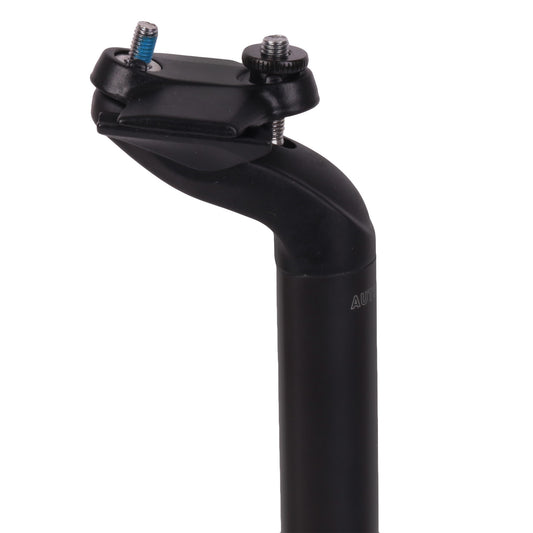 Giant D-Fuse Composite Seatpost 25 Offset 30.9x380mm - 25mm Black 150000092