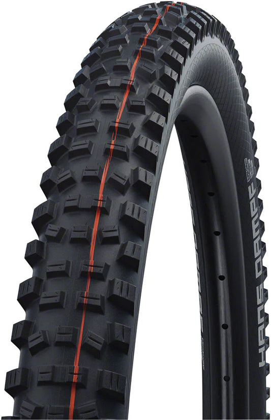 Schwalbe Hans Dampf Tubeless Tire
