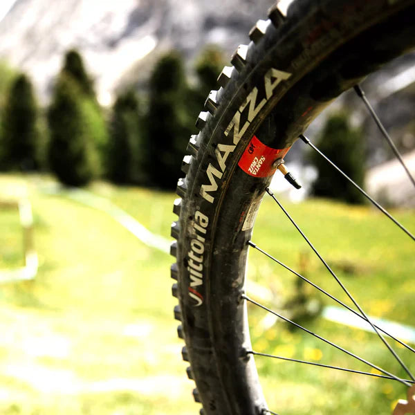 Vittoria Mazza Enduro Graphene 2.0 Tubeless Ready Tire